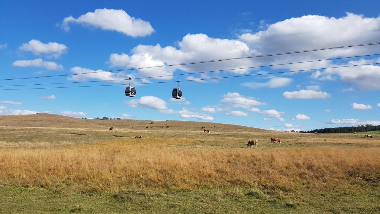 Zlatibor Apartmani Dm Tornik Экстерьер фото