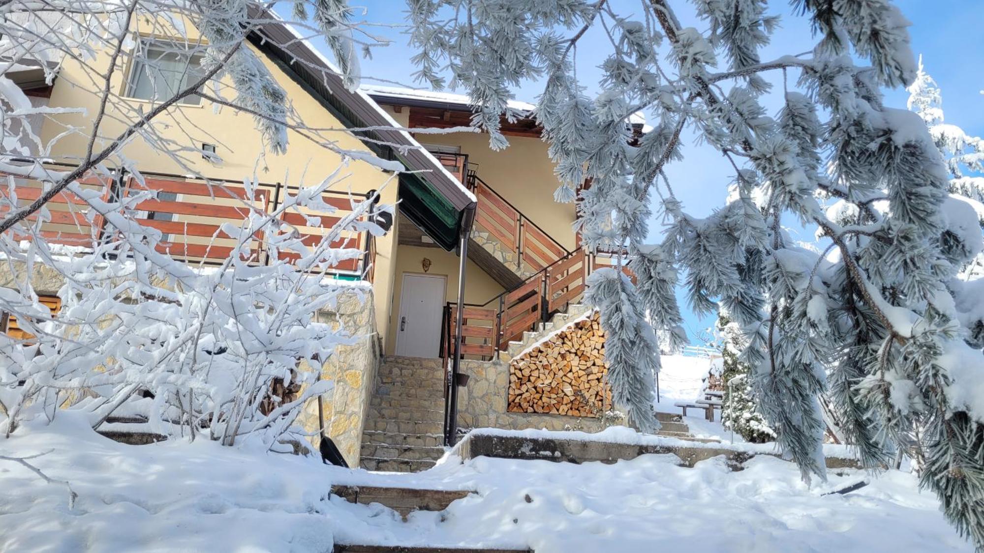 Zlatibor Apartmani Dm Tornik Экстерьер фото