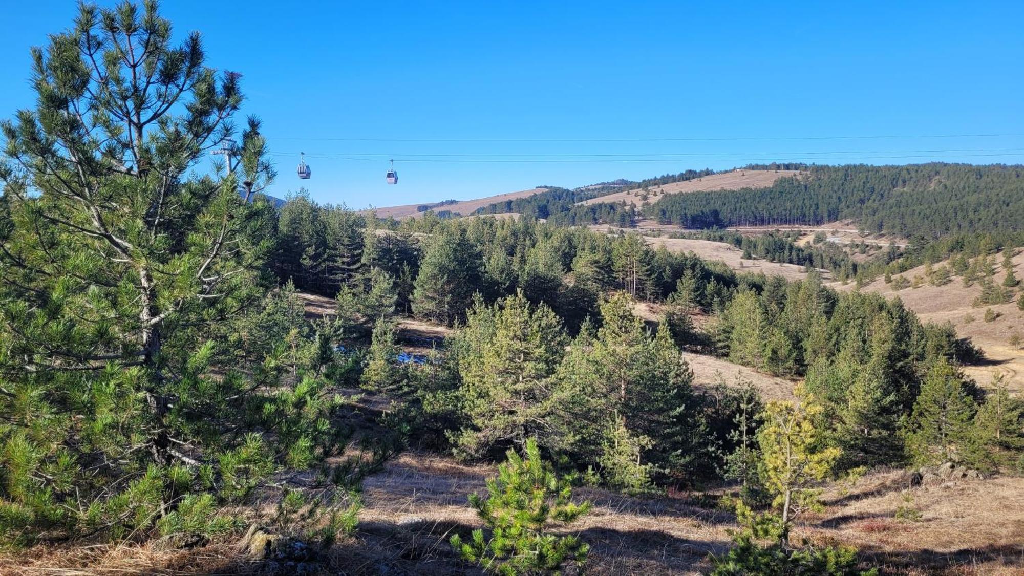 Zlatibor Apartmani Dm Tornik Экстерьер фото
