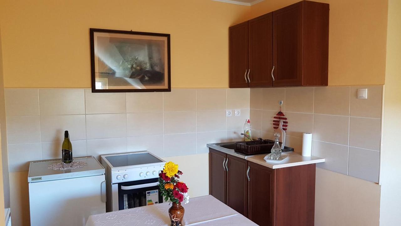 Zlatibor Apartmani Dm Tornik Экстерьер фото